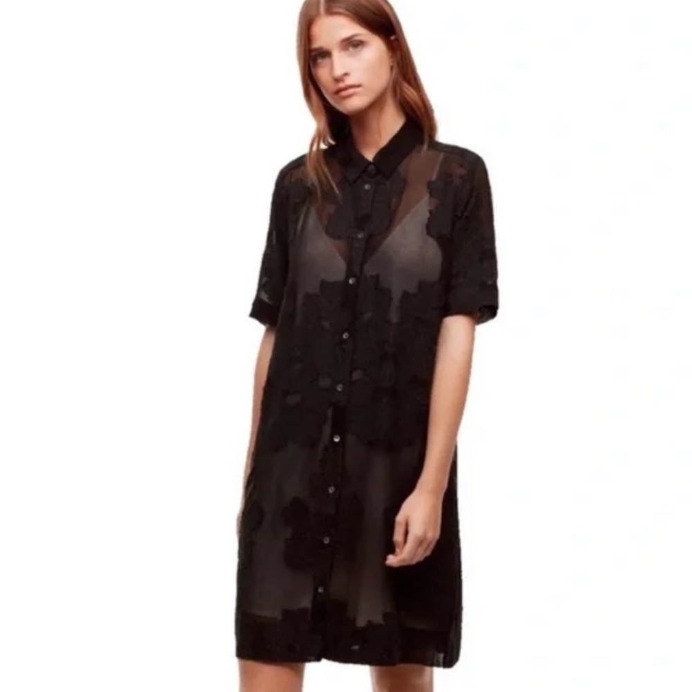 Aritzia Wilfred Blayze Dress